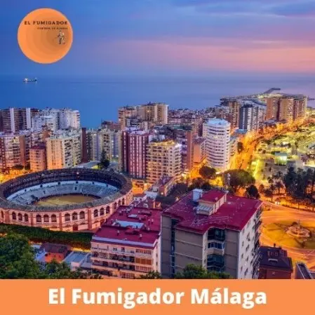 Control de Plagas en Malaga