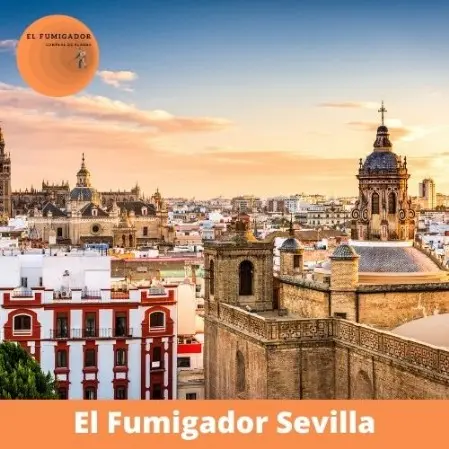 Control de Plagas en Sevilla