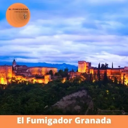 Control de Plagas en Granada