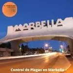 Control de plagas marbella
