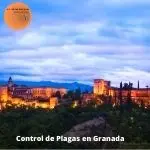 Control de plagas Granada
